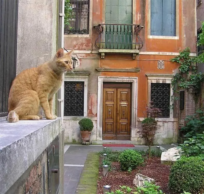 Bed and Breakfast Ca' Angeli Venecia